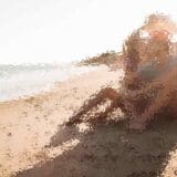 The Top Beach Destinations For Couples This Summer
