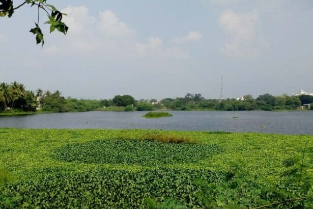 Salim Ali Lake - Bird Sanctuary, Aurangabad