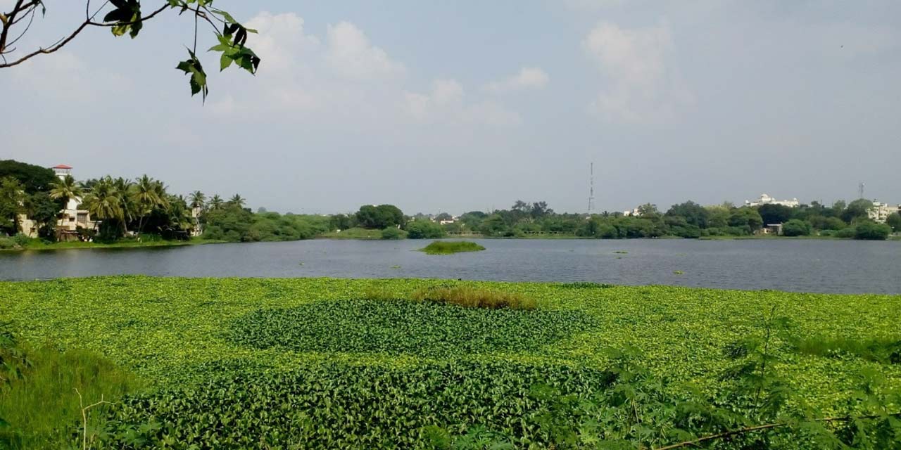 Salim Ali Lake - Bird Sanctuary, Aurangabad