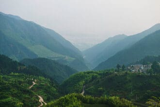 Places To Visit In Williamnagar