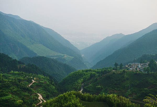 Places To Visit In Williamnagar