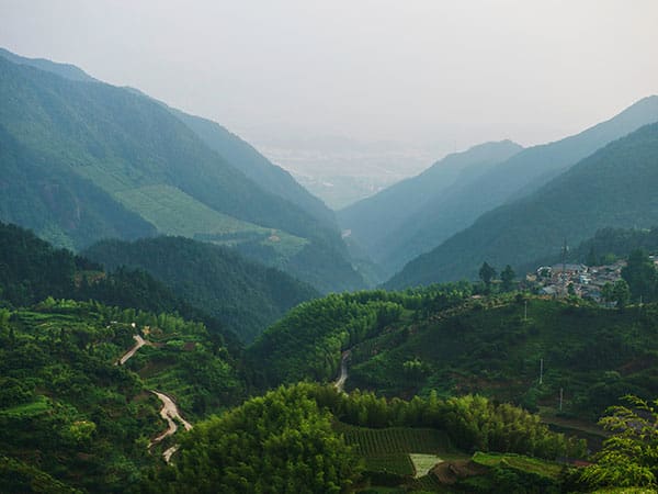 Places To Visit In Williamnagar