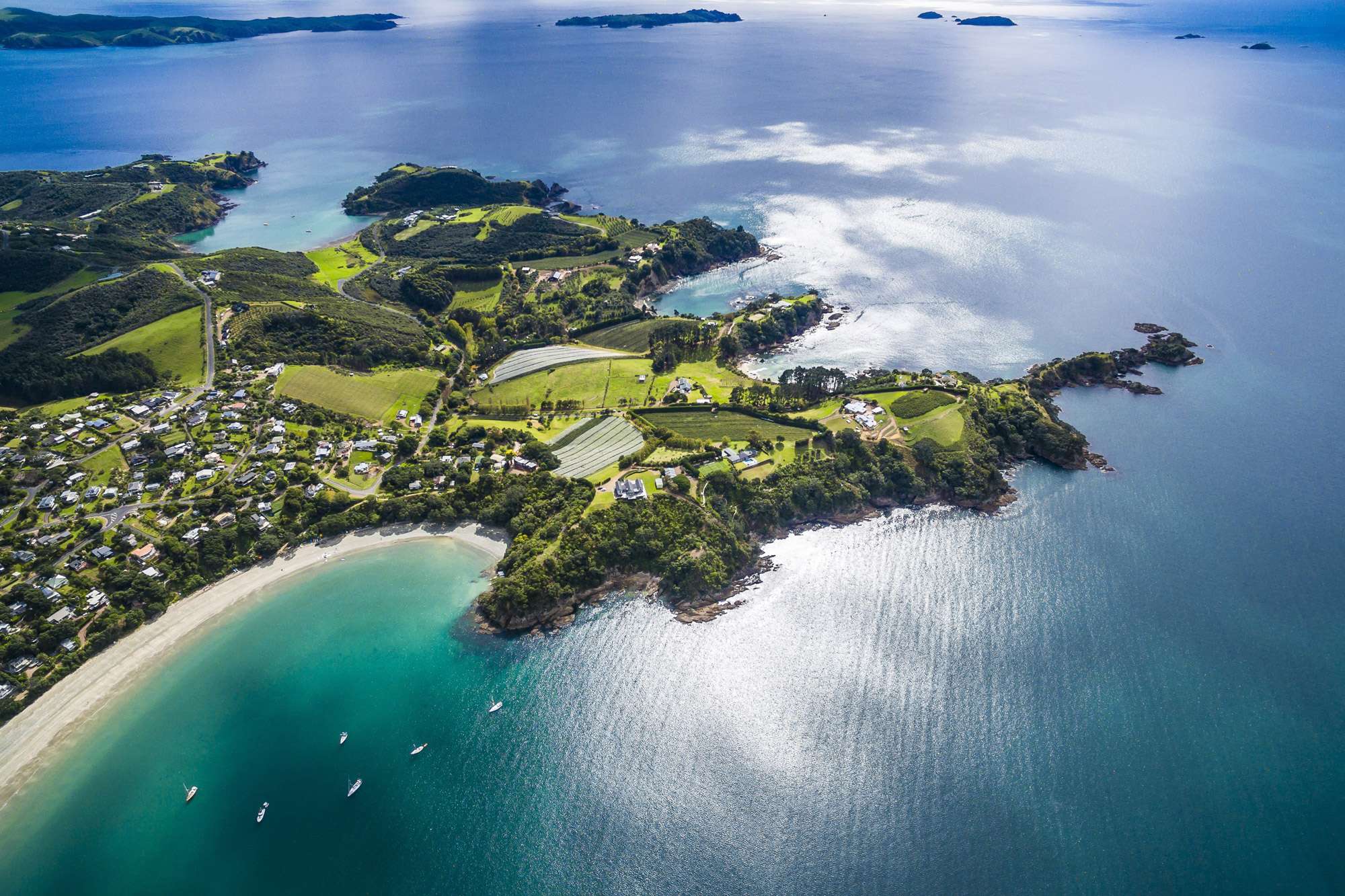 9 Best Day Trips from Auckland 2 Waiheke Island