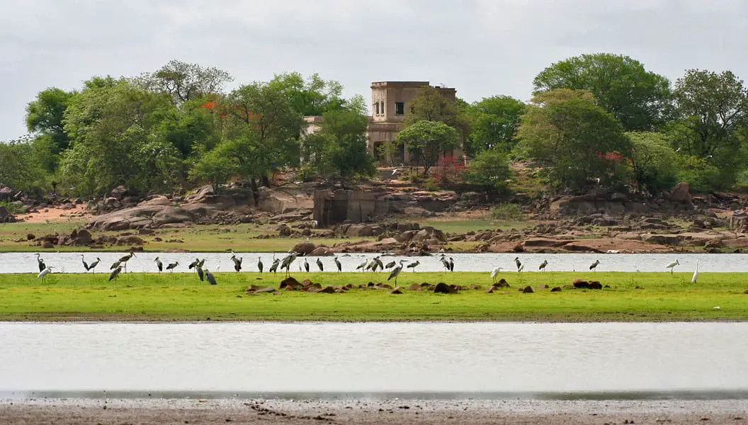 Pocharam National Park