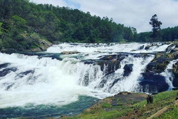 Pykara River, Ooty