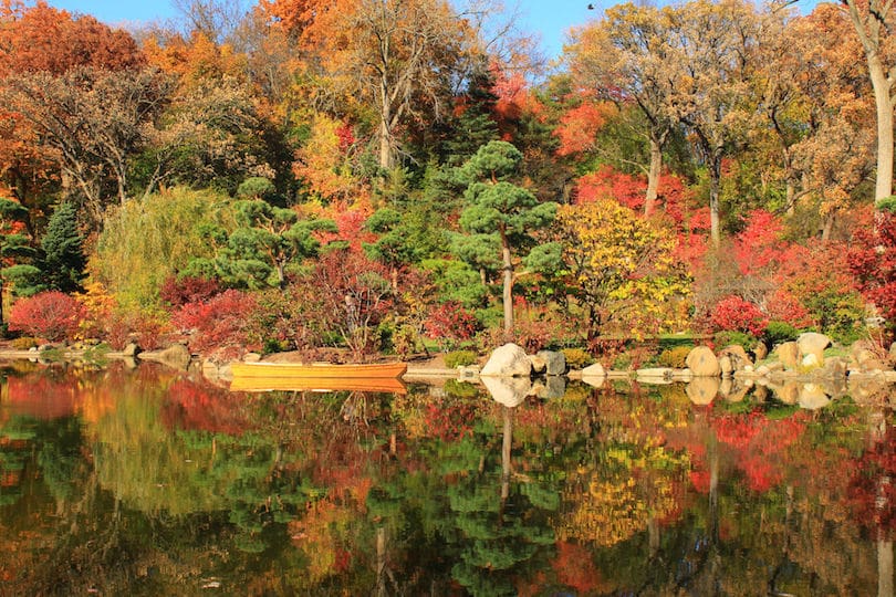 Anderson_Japanese_Gardens