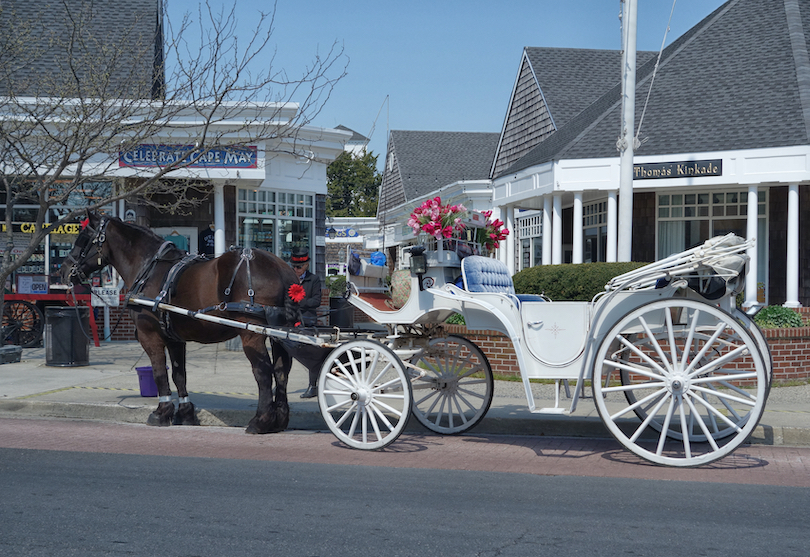 Cape_May_Carriage-3