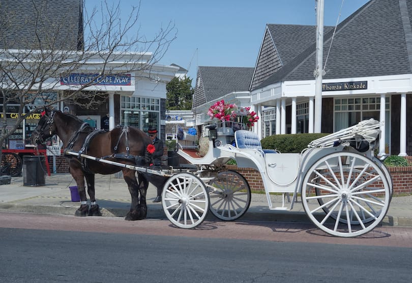 Cape_May_Carriage-3