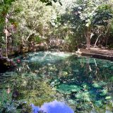 Cenote_Cristalino