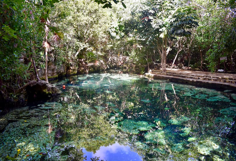 Cenote_Cristalino