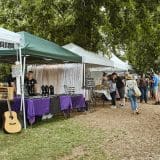 County_Farmers_Market-1