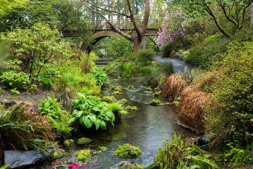 Crystal_Springs_Rhododendron_Garden-2