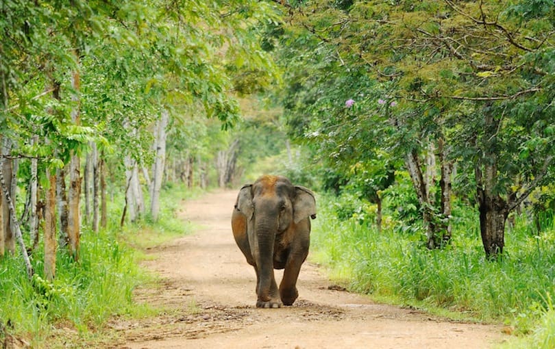 Kui_Buri_National_Park