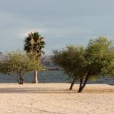 Lake_Havasu_State_Park