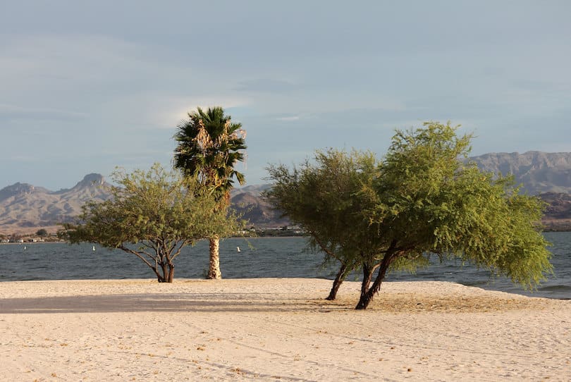 Lake_Havasu_State_Park