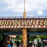 Louisville_Zoo-1