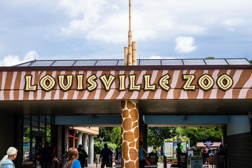Louisville_Zoo-1