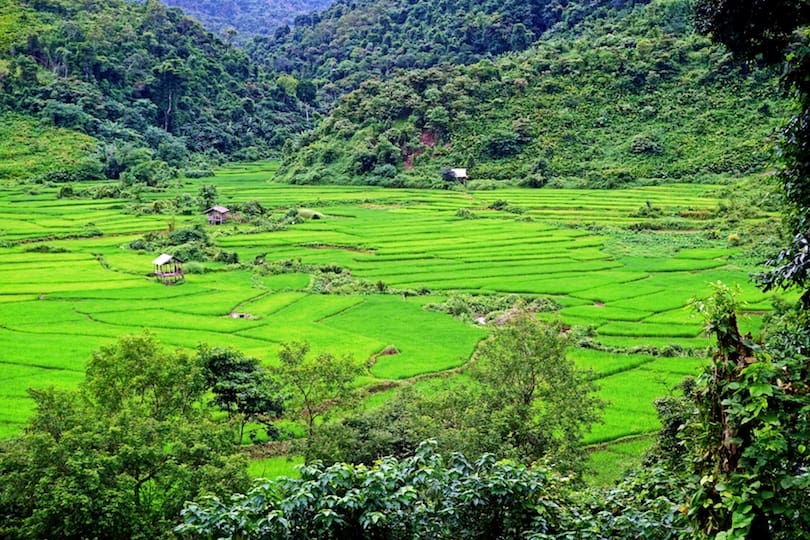 Things To Do In Laos