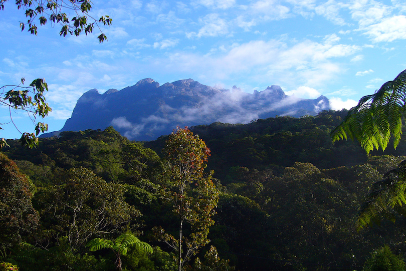 Mount_Kinabalu-4