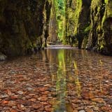 Oneonta_Gorge