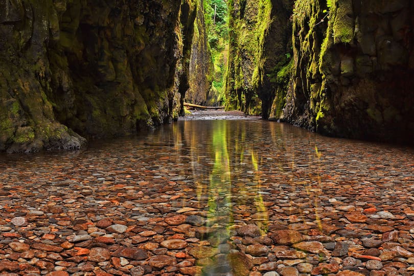 Oneonta_Gorge