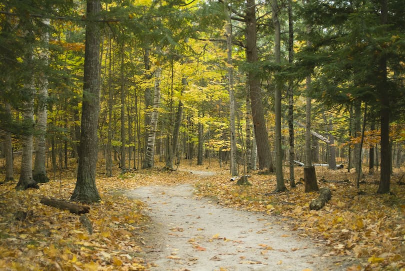 Potawatomi_State_Park-3