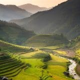 Sa_Pa_Terraces