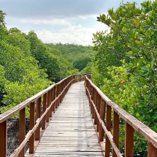 Amkunj Bay Beach, Rangat: A Hidden Gem In Andaman Islands