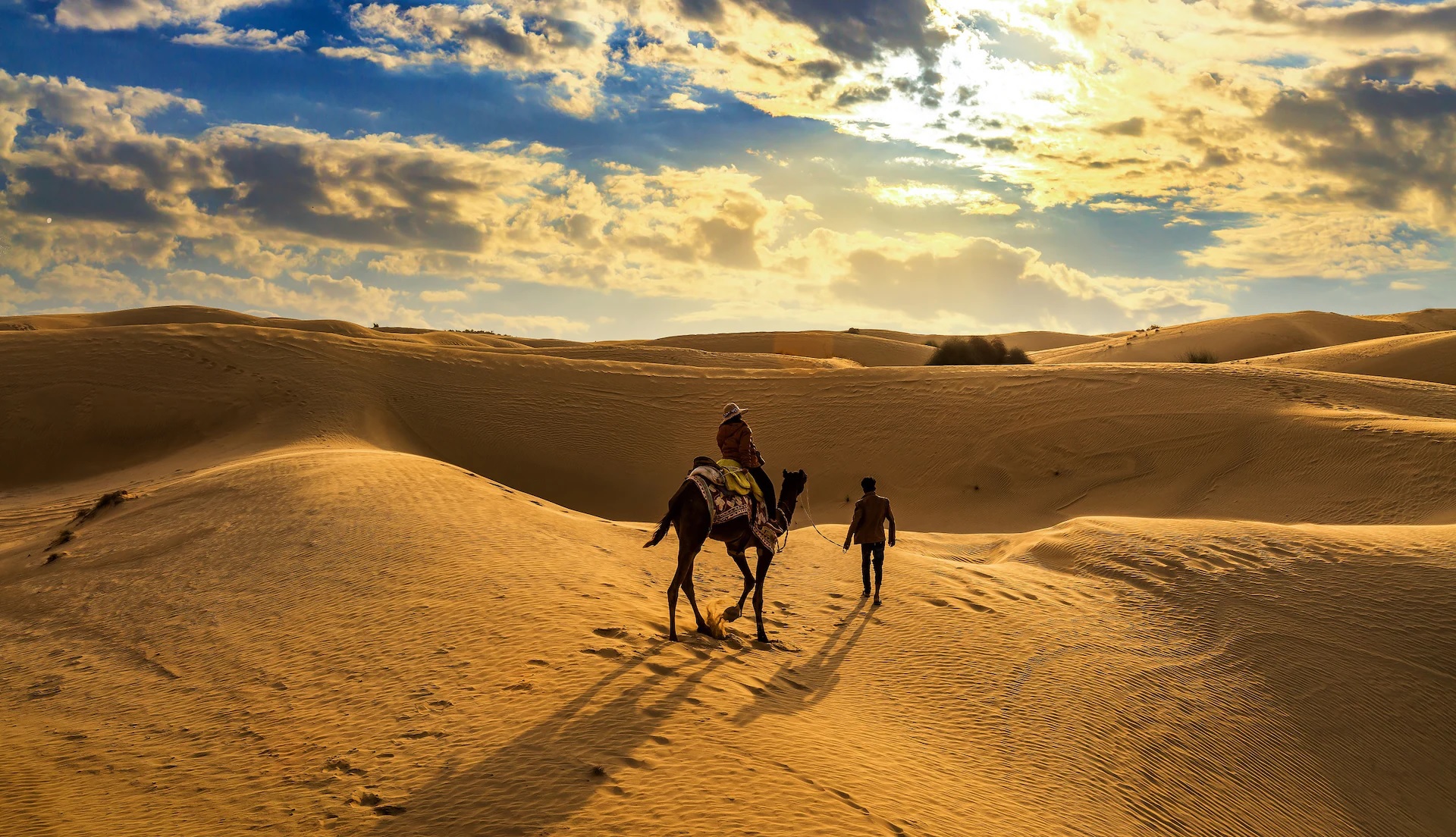 Desert National Park, Rajasthan: Discover The Marvels Of India'S Thar Desert
