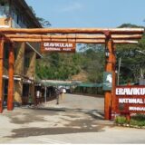 Top 5 National Parks In Kerala