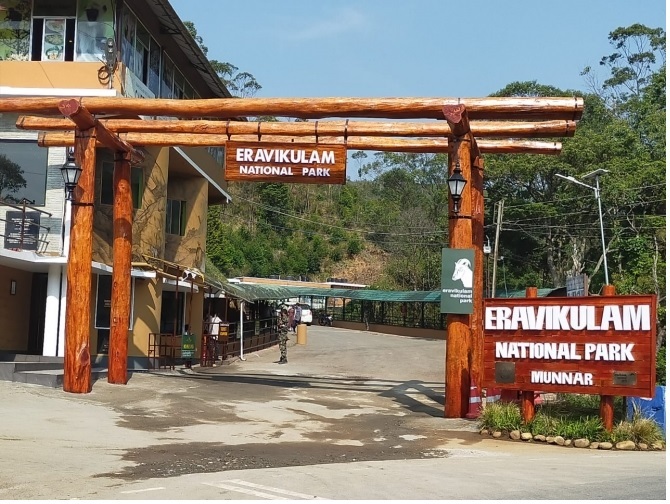 Top 5 National Parks In Kerala