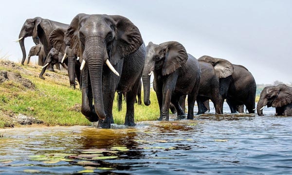 Complete Guide To Interview Island Wildlife Sanctuary, Andaman &Amp; Nicobar Islands