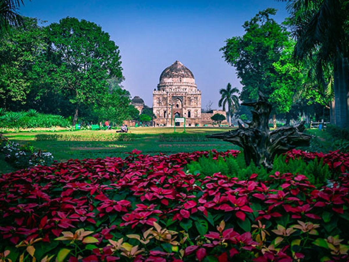 Top 5 Beautiful Garden Parks In Delhi