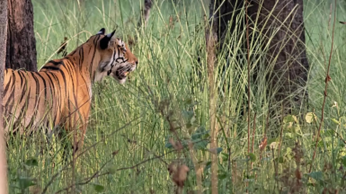 Top 5 Places To Visit In Shivpuri