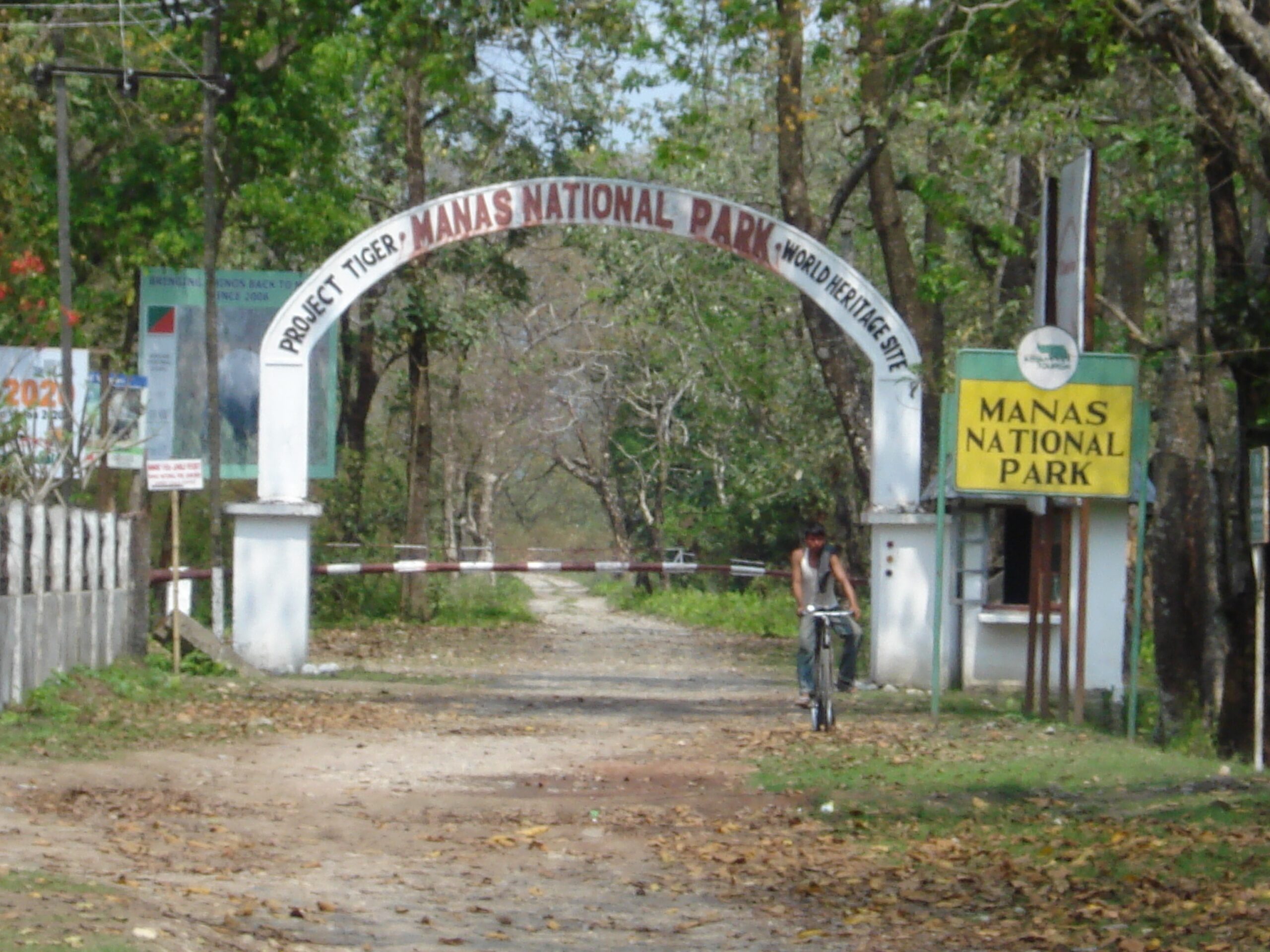 Manas National Park, Assam: A Complete Travel Guide