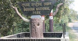Dudhwa National Park, Uttar Pradesh: A Wildlife Haven In Northern India