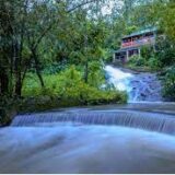 Top 10 Nature Resorts In Valparai