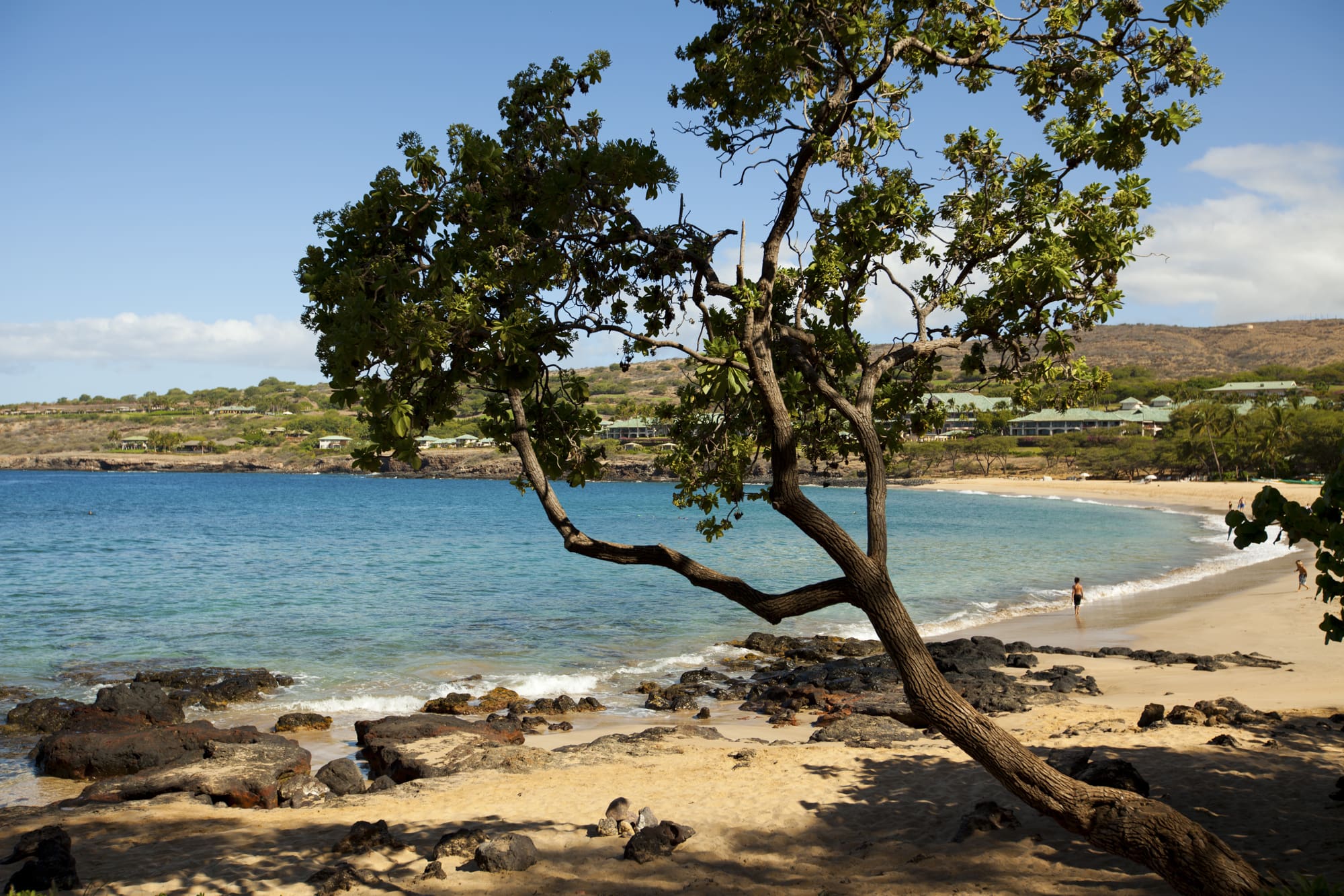 Lanai | Visitor Information | Go Hawaii