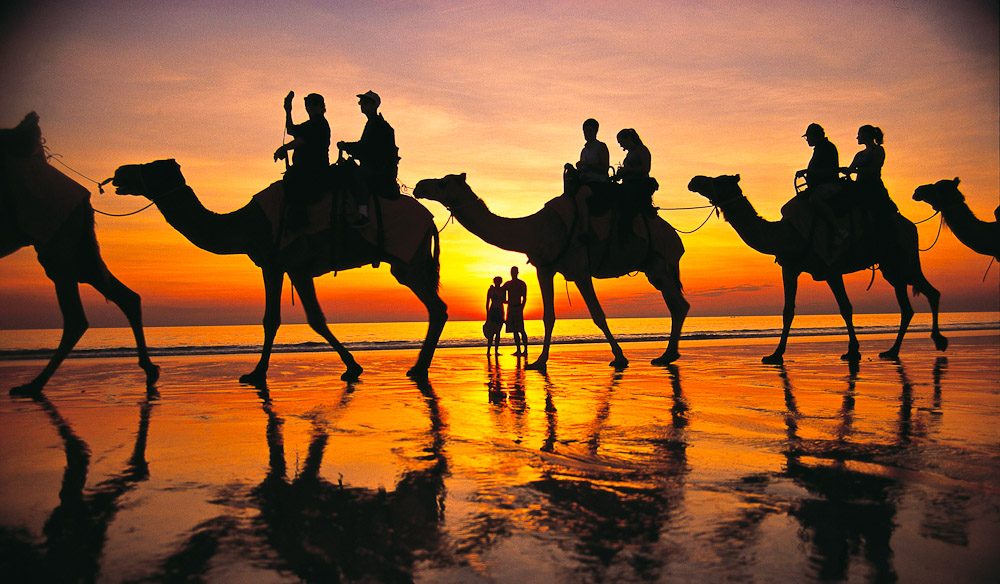 Allure Of Camel Safaris