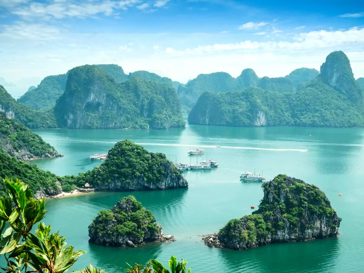 Most Beautiful Places: Is Vietnam'S Halong Bay The World'S Prettiest Place?  | Times Of India Travel