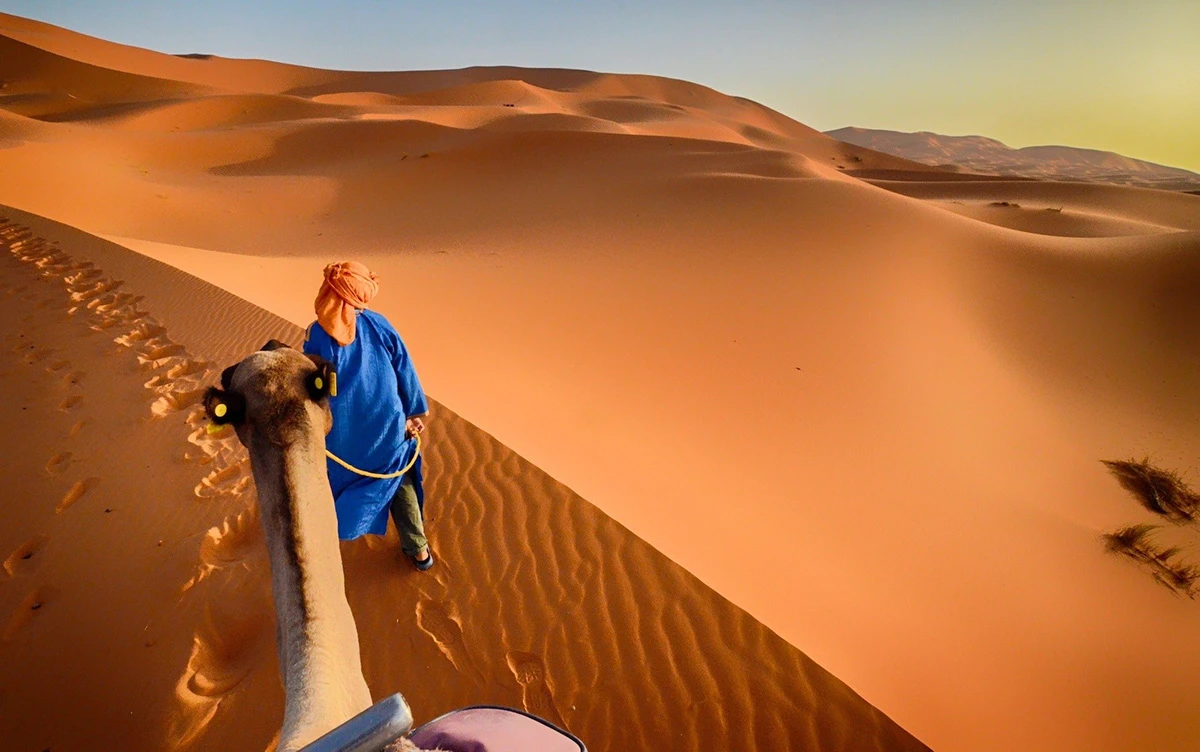 Discover The Magic Of Moroccan Desert: Family Camel Rides And Cultural Experience
