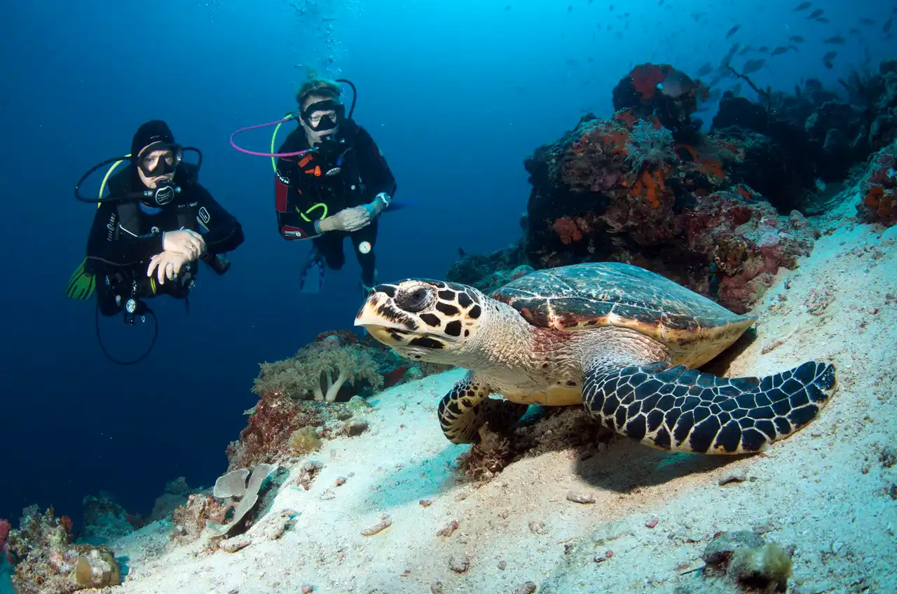 Tech Diving