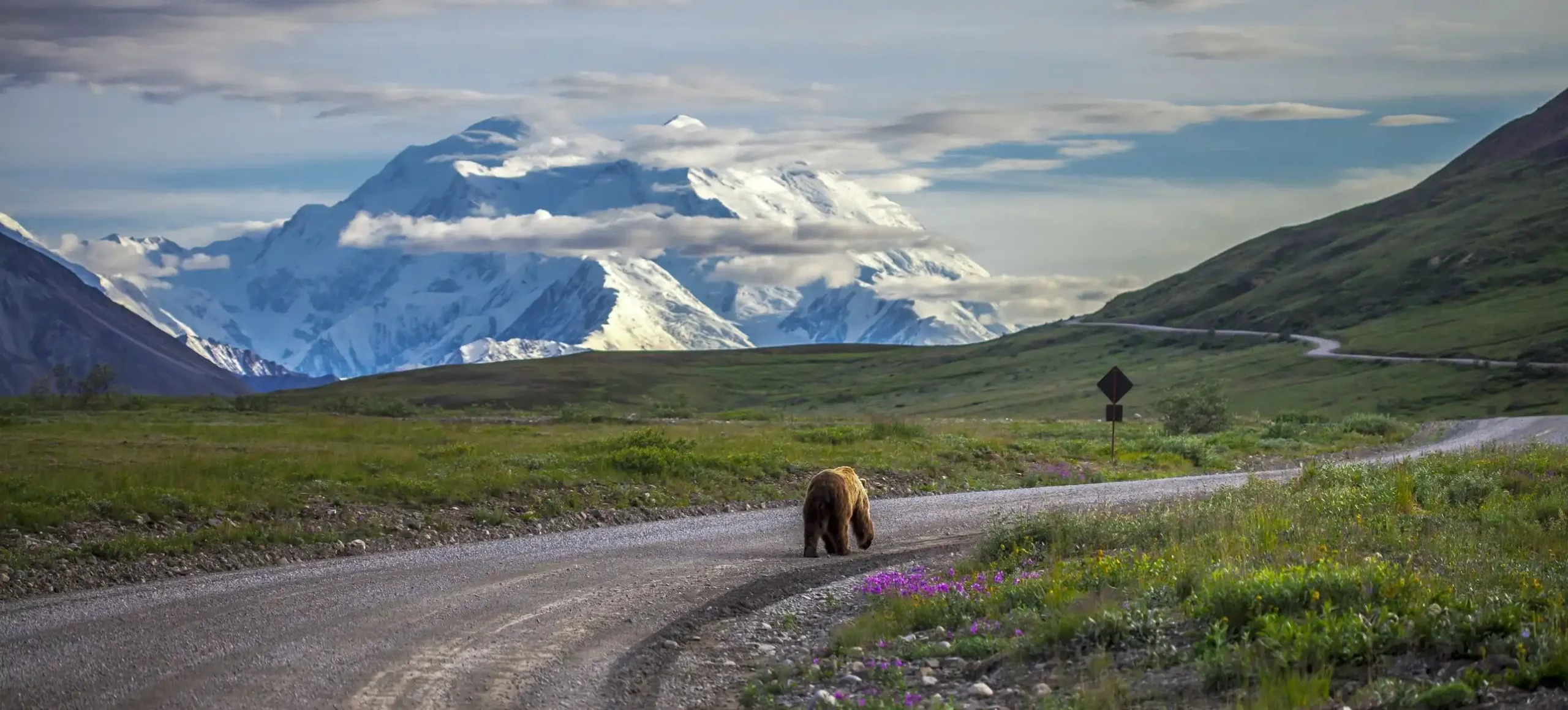 Denali National Park And Preserve 