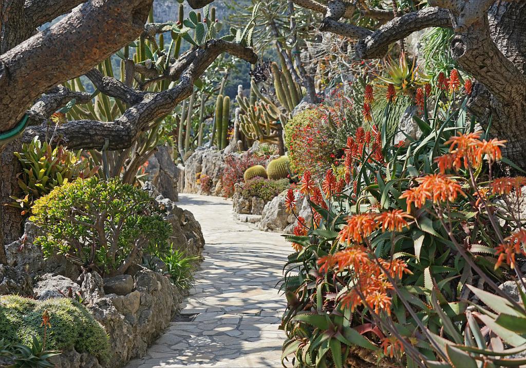 Jardin Exotique De Monaco (Exotic Garden Of Monaco), Monte-Carlo