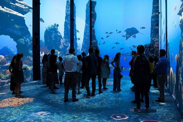 2023 Oceanographic Museum Of Monaco And Aquarium Admission Ticket