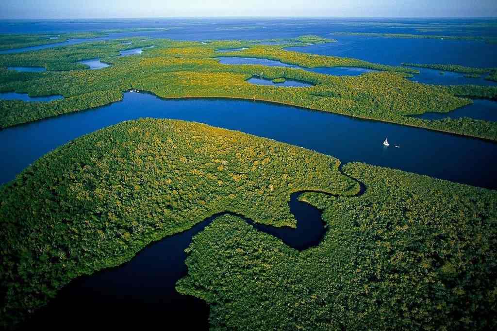 Consider A Trip To Everglades National Park