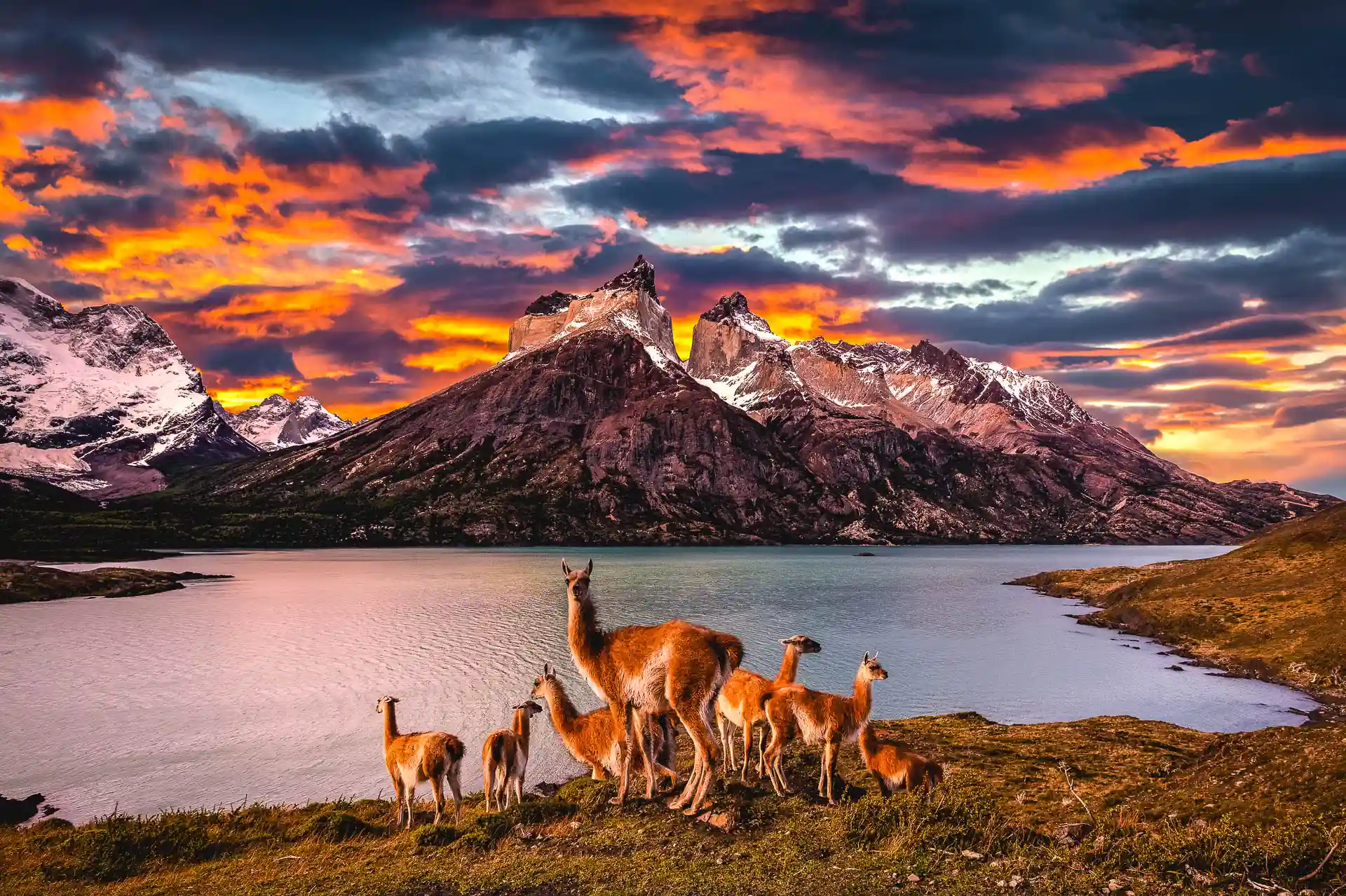 Torres Del Paine National Park, Chile Patagonia Torres Paine