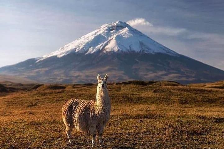 2023 Cotopaxi National Park Tour: Hiking And Downhill Bike All Inclusive