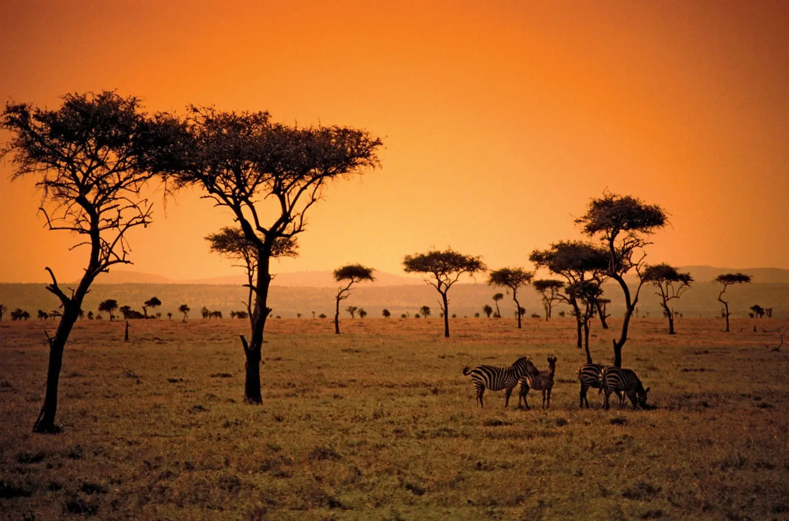Unveiling The Enchantment: Embark On An Unforgettable African Vacation