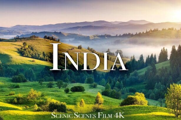 Top 10 Places To Explore Wildlife In India
